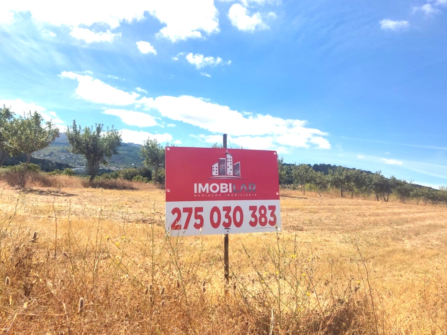 Imagem Terreno com cerca de 10.000m2 - 29.750,00€ - Aldeia Nova do Cabo, Fundão