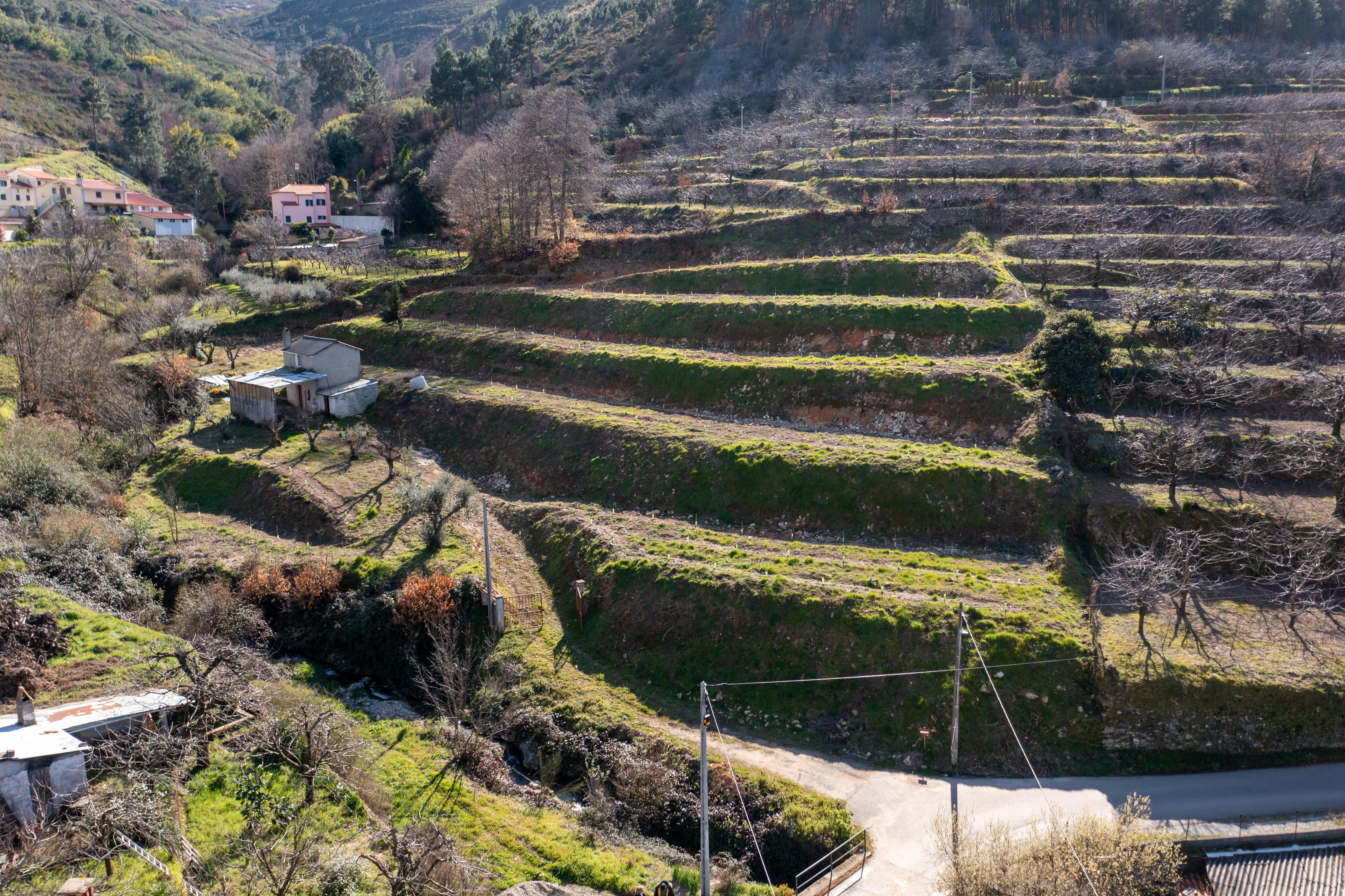 Imagem Terreno com barracão agrícola - 36.900,00€ - Alcongosta, Fundão
